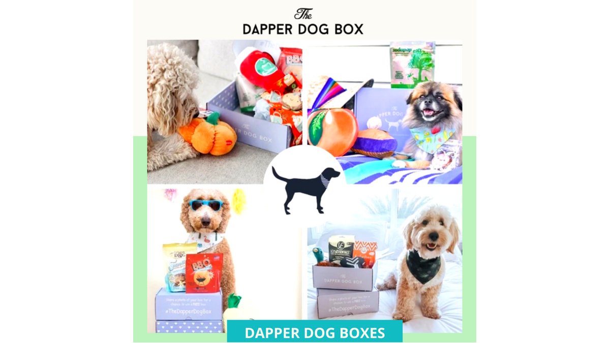 TheDapperDogBox's tweet photo. Our Dapper Dog Boxes have a gorgeous exterior and interior which make them perfect for taking photos with. Your pup was born to be an Instagram star, and we fill our box with photo ops! 

Visit our site and subscribe now - https://t.co/ZT9wkMPeck 

#thedapperdogbox #animals https://t.co/irjvdBB6fN