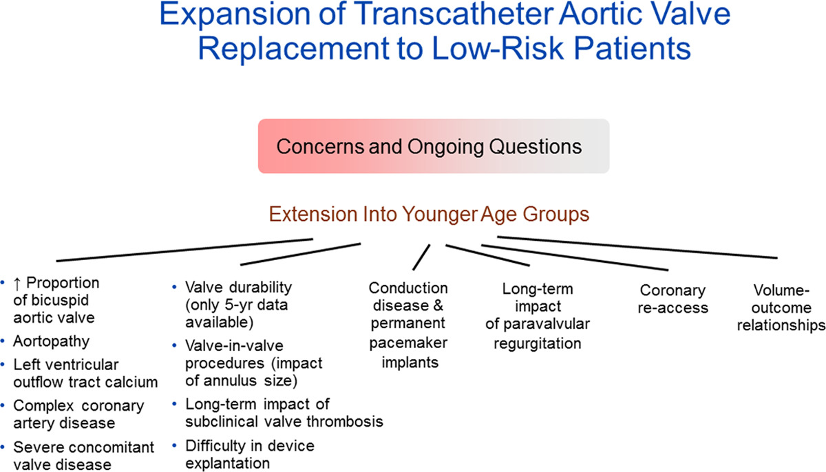 #Perspectives: Transcatheter Aortic Valve Replacement in Low-Risk, Young Patients: Natural Expansion or Cause for Concern? ow.ly/JIT550BK2Fu 
#AHAJournals