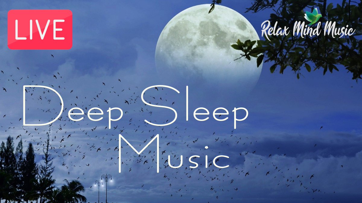 KevinDgmark's tweet photo. https://t.co/M4UayTmJov #relaxingmusic #relaxingsounds #relaxing_time #relaxingvideo #relaxingmoments  #relaxingpiano #relaxingspa #relaxingnight https://t.co/QfCInOWXBD