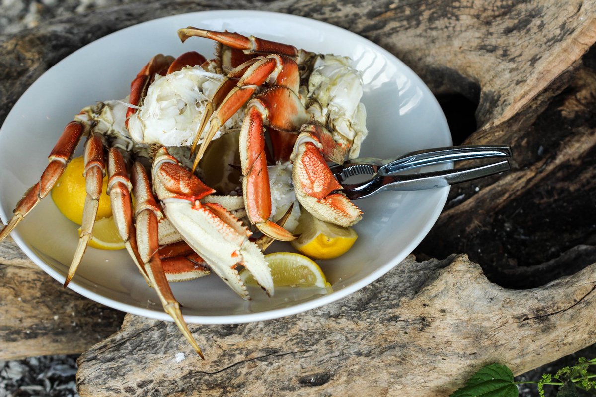 Start the week off right by having dinner at Salty's!
We look forward to seeing you, even if your crabby ... 😄