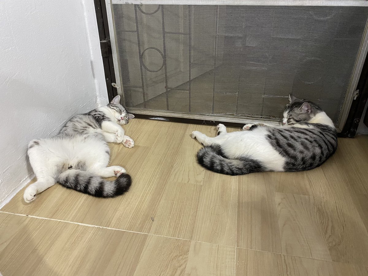 เจ้นอนหุบหน่อยคนสวย 🤣