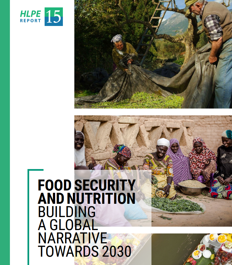 High level policy reports have been published lately alluding to the topic of transition and transformation, e.g work led by  @JennClapp for the High Level Panel of Experts of the Committee on World Food Security of FAO ( http://www.fao.org/3/ca9731en/ca9731en.pdf - see recommendation 12).