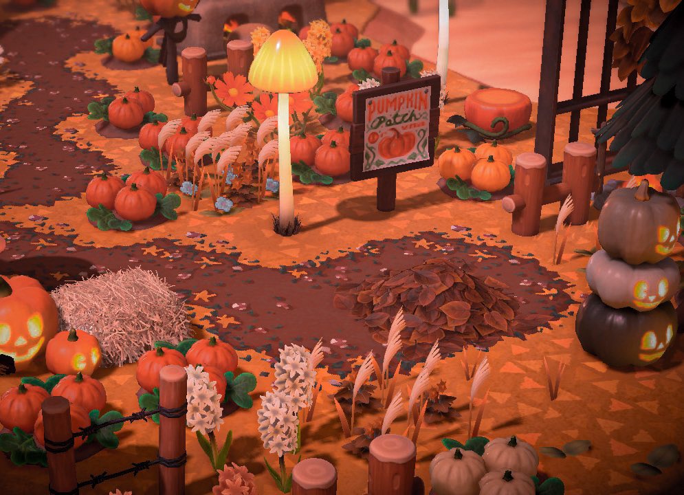 autumncoffees's tweet photo. ❝when witches go riding, and black cats are seen, the moon laughs and whispers, ‘tis near halloween.❞ 🎃 #ACNH https://t.co/wvNPsqI6qc