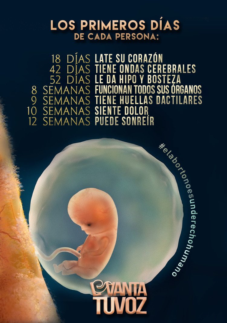 NaomiZurc's tweet photo. La #Vida inicia desde la concepción, el feto no son sólo celulas
#MexicanosAlGritoDeVida
#MéxicoEsProVida
#MexicoCeleste
@lopezobrador_
@M_OlgaSCordero
@MarybelVillegas
#MatarNoEsUnDerecho
#MatarNoEsProgreso
#MatarNoEmpodera
#YaEsTiempoDeProtegerLaVidaYLaFamilia https://t.co/g0DpKjSiAW