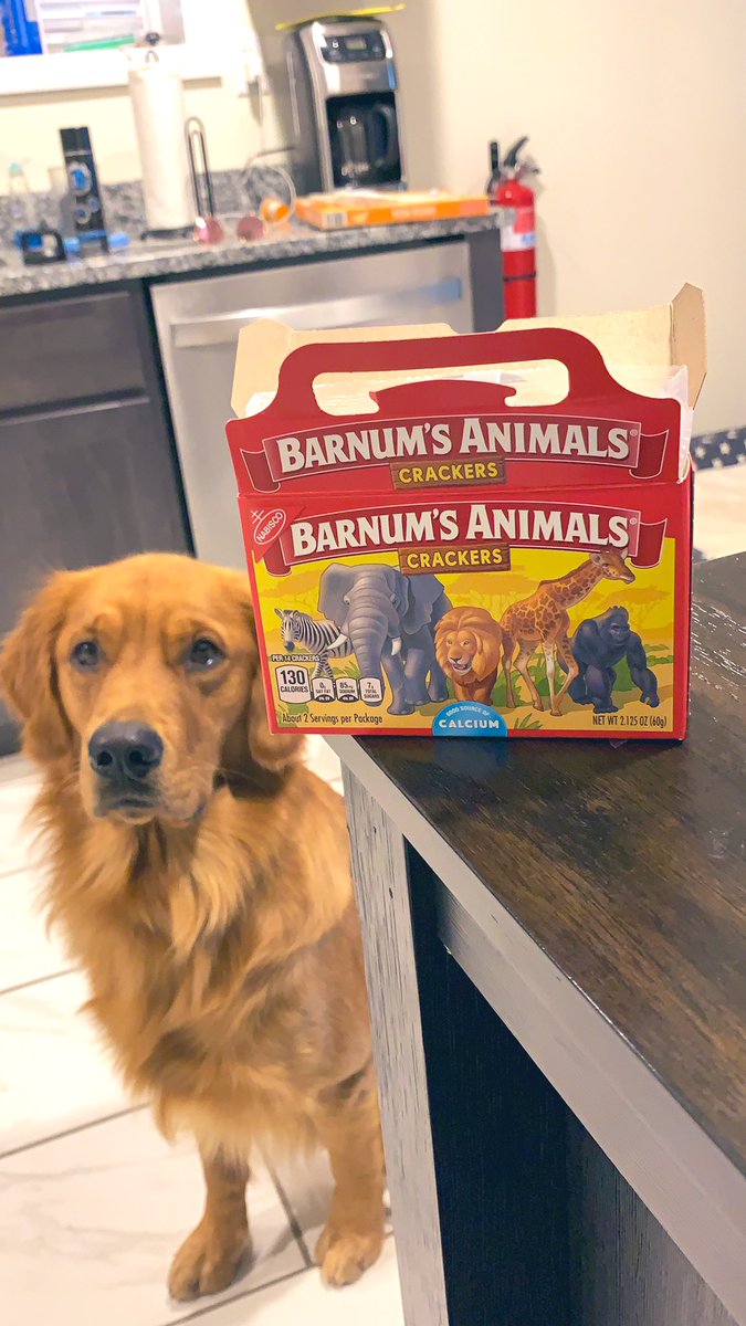 The best non frosted 🦁🐘🦍🦒🦓 cracker on this planet. Do not @ me