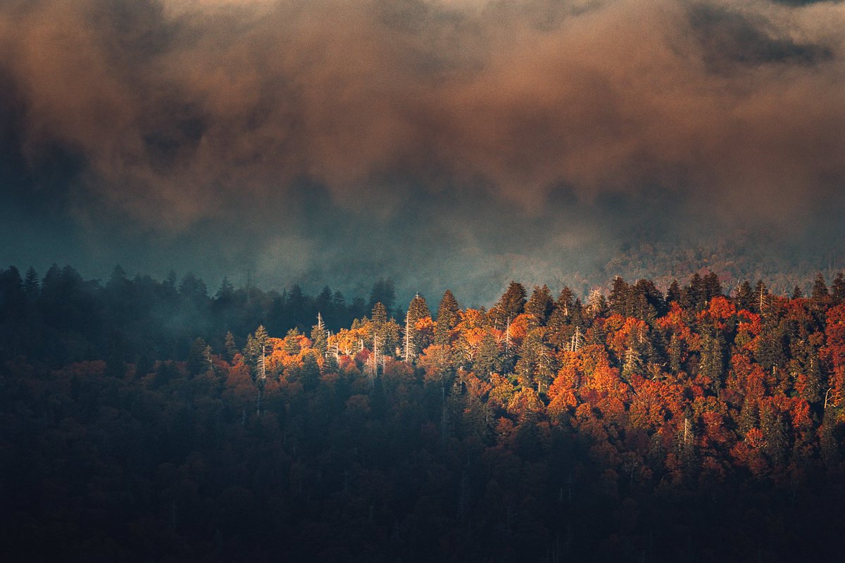 bryanminear's tweet photo. Lost in silence https://t.co/MIvpNFVfGG