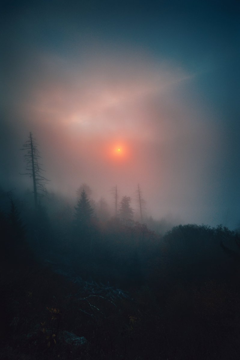 bryanminear's tweet photo. Lost in silence https://t.co/MIvpNFVfGG