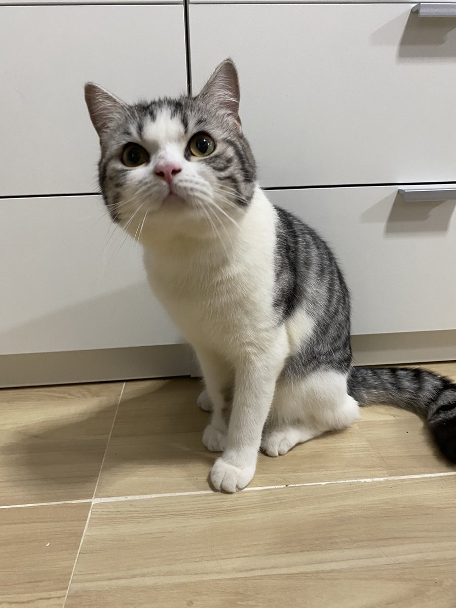 อุนยาย น้ามัฟแย่งพิโอ่งม่อนค้าบ