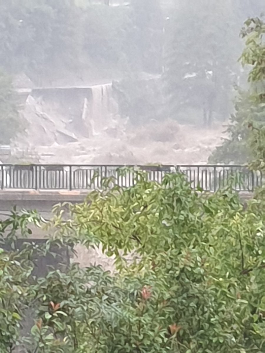 Elizabeth Gabay MW 🍷🌹🌿🌍🌈🌎🦋🌏 tweet media