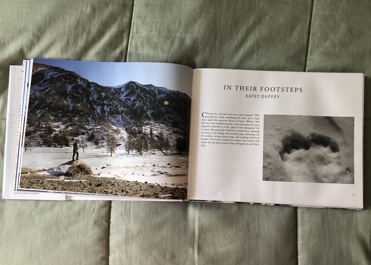 Got my copy of the #snowleopard #book I contributed to, consulted for &amp; that has 24 of my photos!! The professional photos of wild snow leopards are BEAUTIFUL! The book includes natural history, behavior, culture, coexistence with herders &amp; anecdotes. #scicomm <a href="/SnowLeopardCons/">Snow Leopard Consrvy</a>