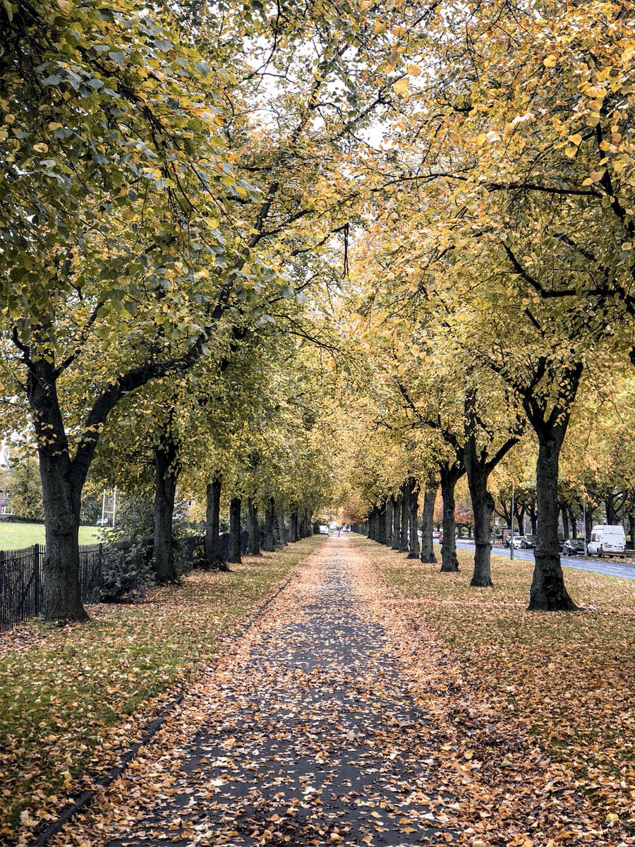 CriticalWS's tweet photo. Its our favorite month, October...how about 15% off all dedicated servers! Use HALLO15 code at checkout!
https://t.co/7xEFQEGgBd https://t.co/ZgHqAj21br