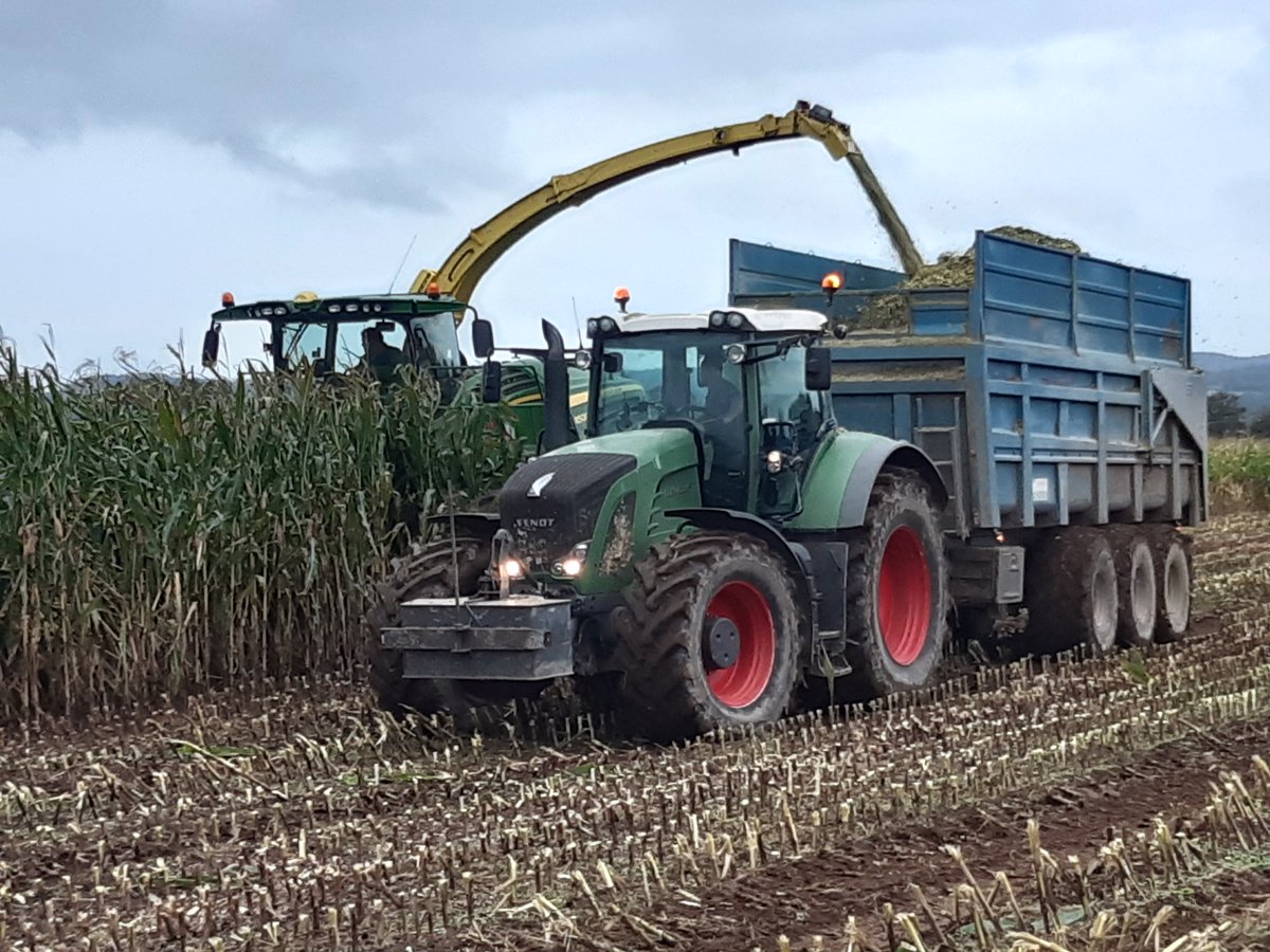 DOUAR APPRO tweet media