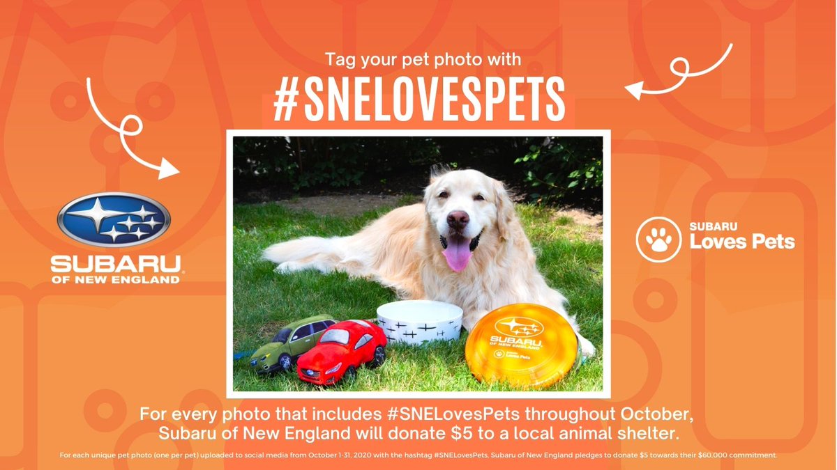 Have you posted your #SNELovesPets photo yet? 🐶 🐱🐍 🐟
.
All October long, post a photo of your pet (we know you have plenty!) to Instagram, Facebook, or Twitter using the hashtag #SNELovesPets – and Subaru of New England will donate $5 to local animal organizations! 🧡