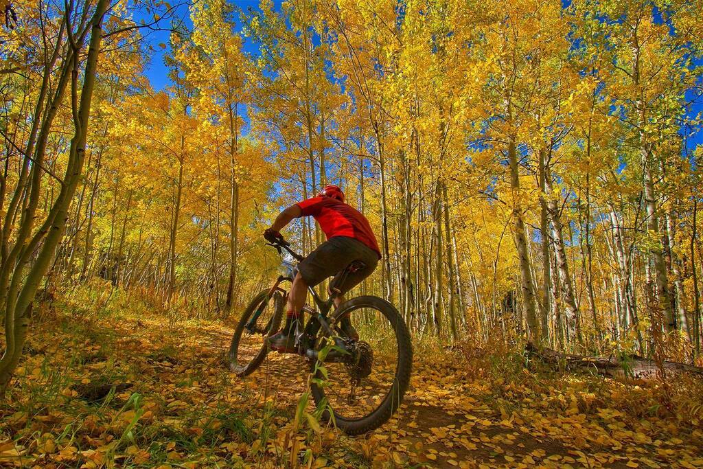 thepowdermonk's tweet photo. Follow the yellow leaf road.
#Vail, #Colorado.
#KeepPedaling
Go on.
.
.
.
#PEARLiZUMi #mountainbike #singletrack #mtb #vailsummer #mtblife #optoutside #vaillive #coloradogram #coloradolive #ridemoredomore #whyiride #bikestyle #venturesports #yeticycles #… https://t.co/s4G5Y5R48R https://t.co/7EVOLDr9g9