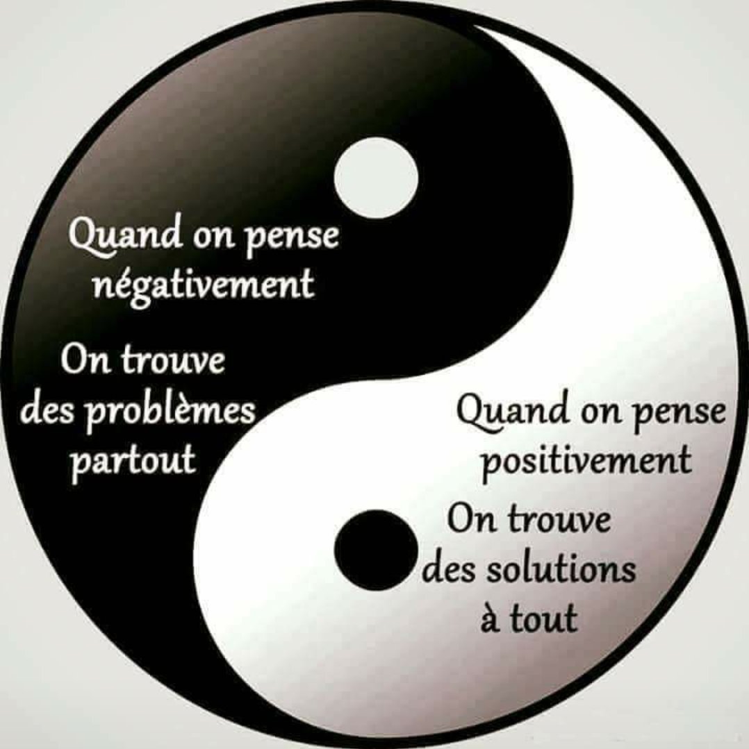DanielaTweety's tweet photo. https://t.co/jUnw8pVPW9