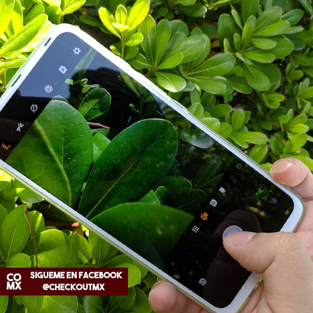 checkoutmx's tweet photo. Te voy a contar algo: Estuve haciendo una pequeña sesión de fotos de las cámara de los #Motorola #OneFusion Series y me lleve una experiencia muy agradable.
¿Les gustaría que hagamos una carpeta en la nube para que vean los resultados con su máxima calidad?
@MotorolaMX https://t.co/45wnr8OqnJ