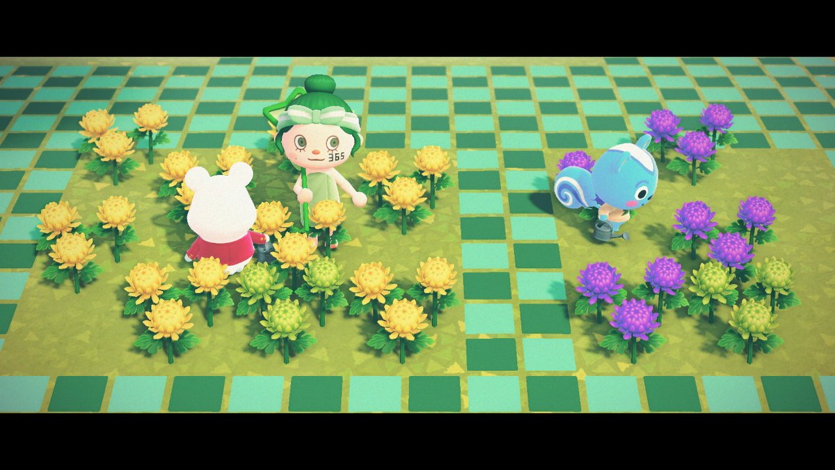 __miloco__'s tweet photo. #どうぶつの森 #AnimalCrossing #ACNH #NintendoSwitch https://t.co/IVhFBzuZHJ