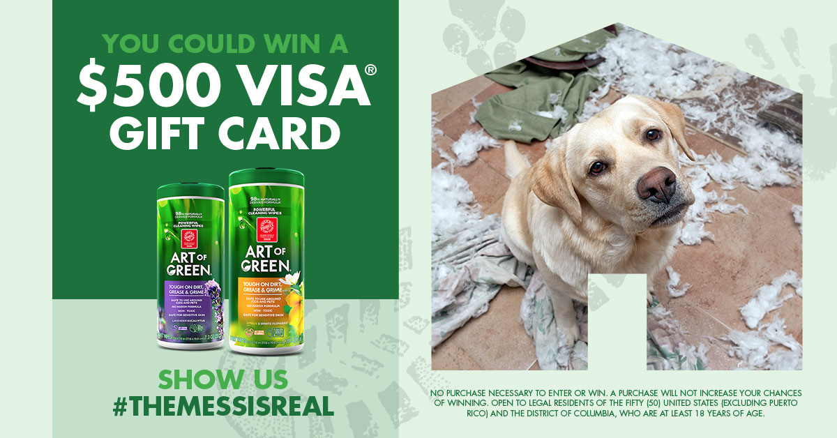 We’re turning your chaos into cash with #TheMessIsReal sweepstakes. Choose the ways you want to earn entries for a chance to win a $500 in Visa® gift card! Click here for official rules and to enter: bit.ly/33zm4cR
