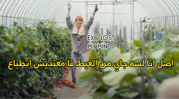 EmanAshraf23's tweet photo. الحمدلله أنهم مبيفهموش عربي 😂
@weareoneEXO @B_hundred_Hyun @layzhan
 #EXOLVotingMonster https://t.co/qHycrjHgOn