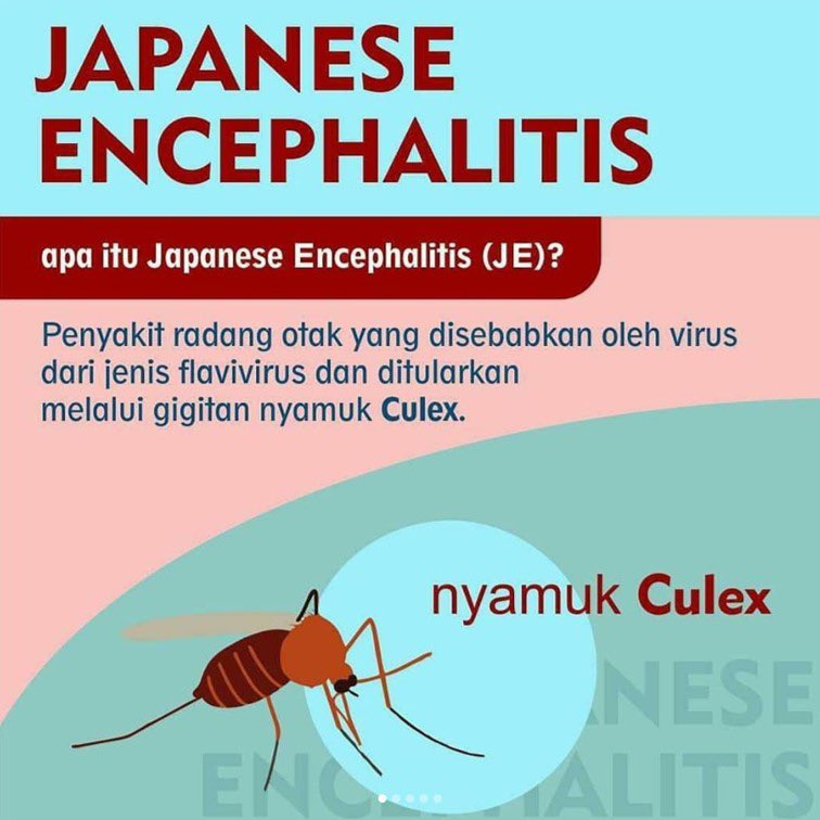Bawaan nyamuk penyakit Sejarah Virus