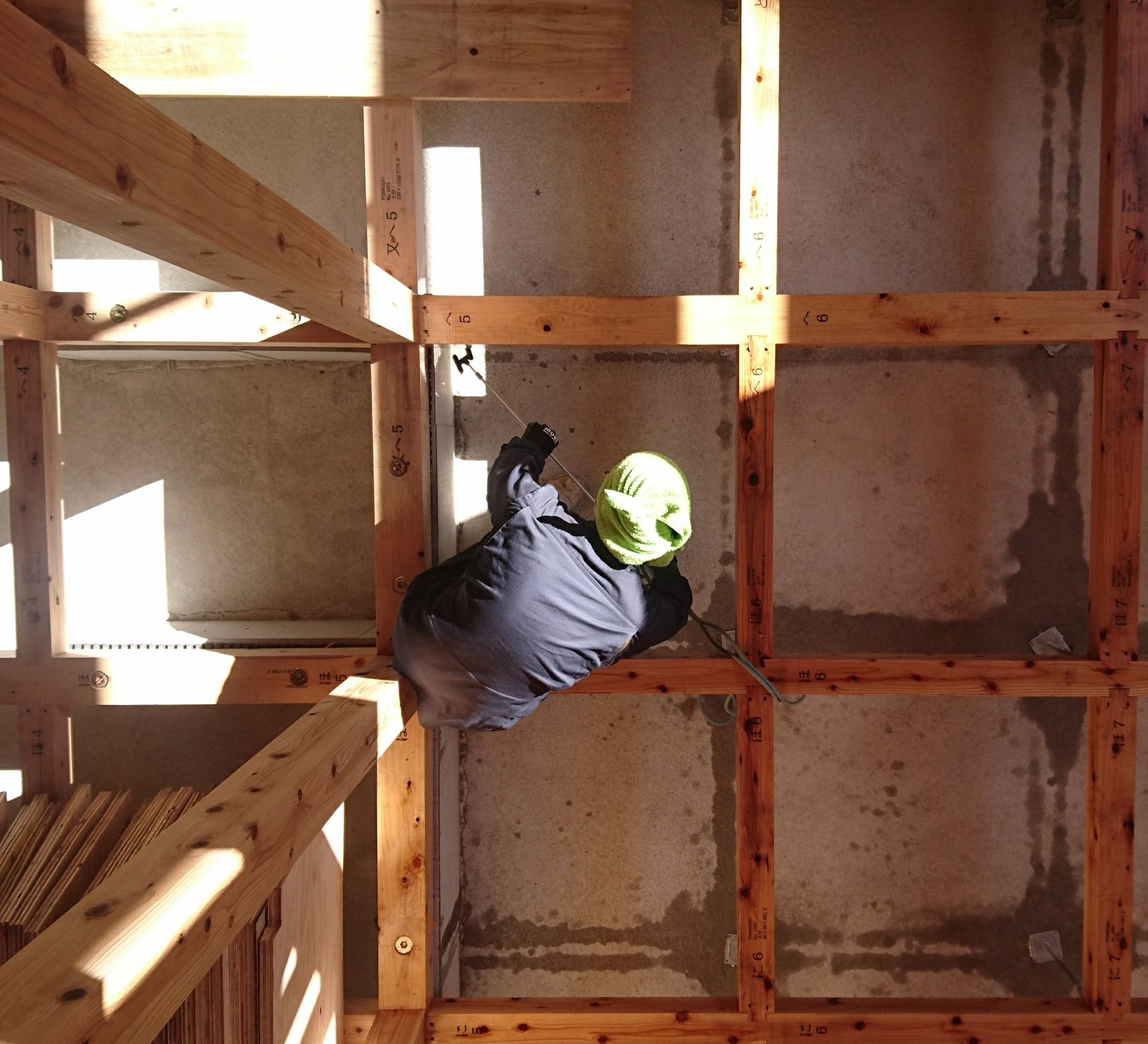 ホウ酸 Twitter Search Twitter