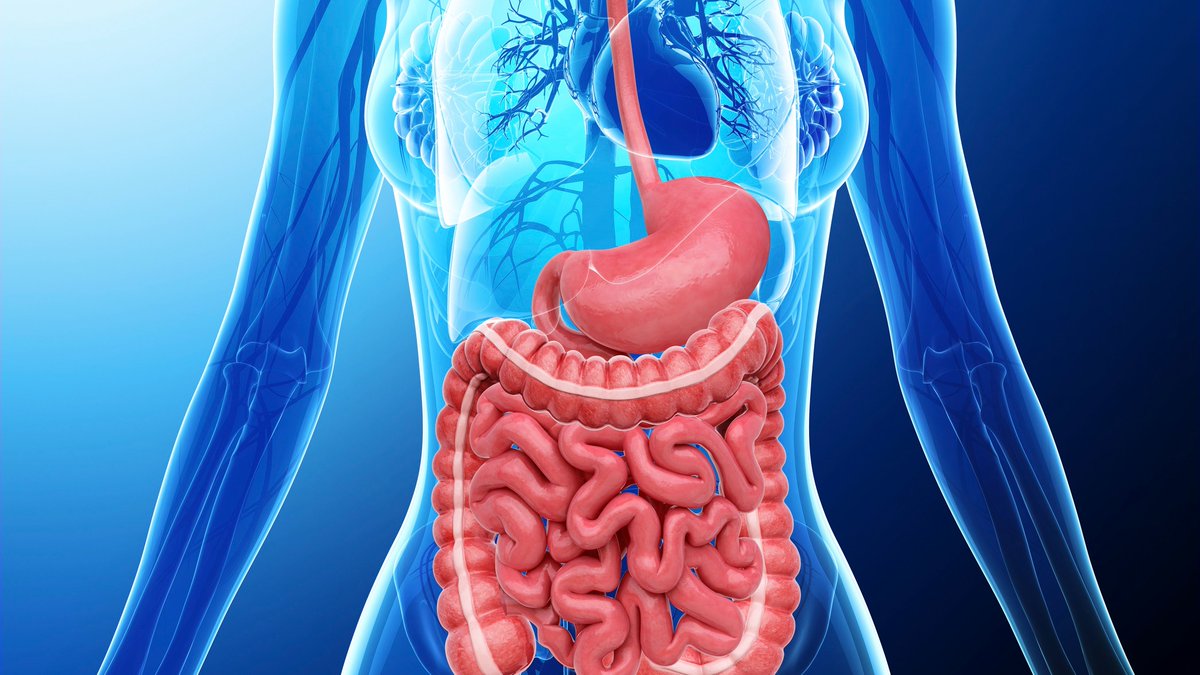 ReachMD (@reachmd) on Twitter photo Why & how do arteries age? It’s a question that’s baffled us for quite some time. Now, we may finally have the answer. bit.ly/2GagmVN #CardioTwitter #HeartMatters <a href="/viennabrunt/">Vienna Brunt</a> <a href="/CUBoulder/">CU Boulder 🦬</a> Why & how do arteries age? It’s a question that’s baffled us for quite some time. Now, we may finally have the answer. bit.ly/2GagmVN #CardioTwitter #HeartMatters <a href="/viennabrunt/">Vienna Brunt</a> <a href="/CUBoulder/">CU Boulder 🦬</a>