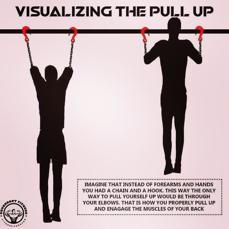 ShubhrantThakur's tweet photo. How to engage your? #latsimusdorsi .
#motivation #gym #fitnessmotivation #pullups #trainertips #consultwithexpert #followforfollowback #likeforlikes #instadaily #love https://t.co/KYtO2l1j49