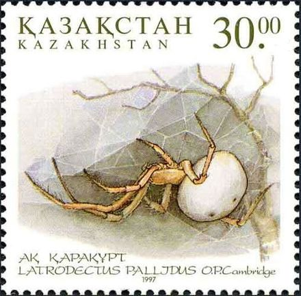 Here's the White Steppe Spider on a lovely Kazakhstan stamp (thank you  @Wikipedia)