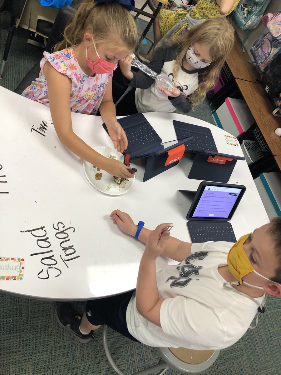 MrsBatllesClass tweet media