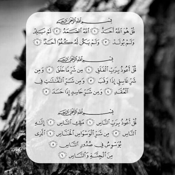 138l51's tweet photo. رددها https://t.co/I29MpbP9VH