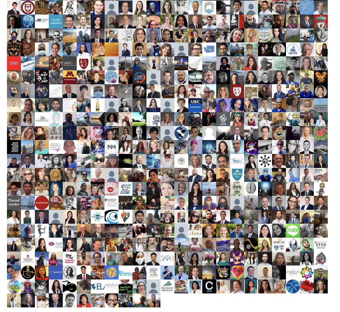 Now you're really going to have to zoom in - I think I have everyone in this collage! If you don't see yourself or a colleague you know was tweeting, reply here so I can check on it. :) Of course, be sure your bio has a photo uploaded first!  #ANES20