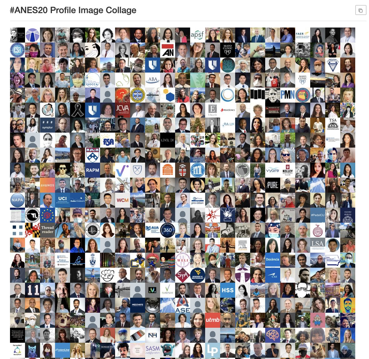 Now you're really going to have to zoom in - I think I have everyone in this collage! If you don't see yourself or a colleague you know was tweeting, reply here so I can check on it. :) Of course, be sure your bio has a photo uploaded first!  #ANES20
