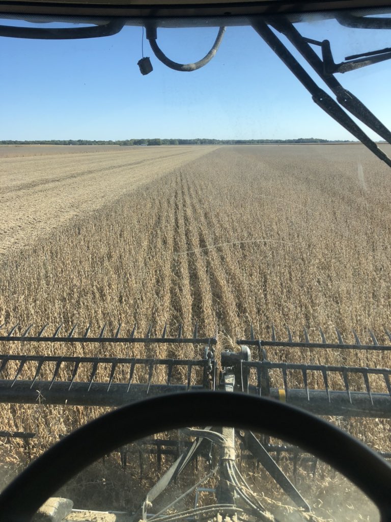 Ed decker tweet media