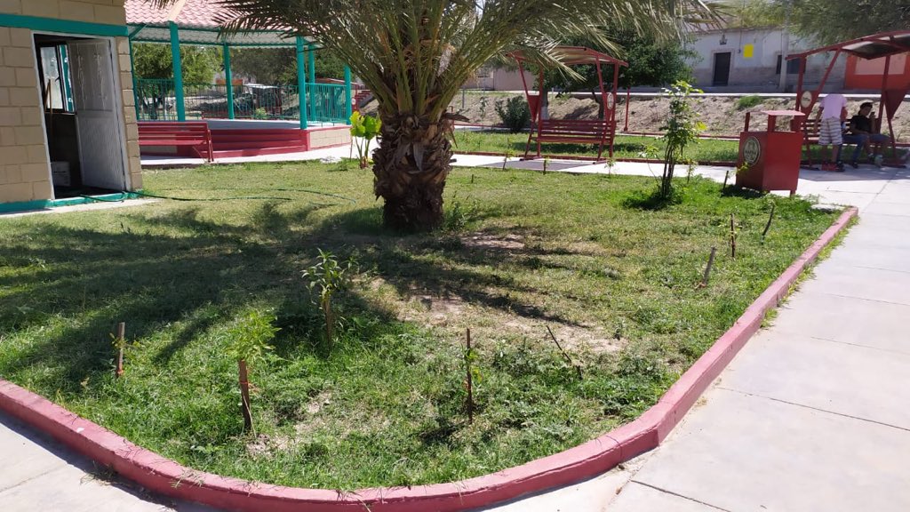 mary_sol011's tweet photo. Con el programa de reforestación #PalntandodeCorazon, sembramos más de 600 árboles en el #ParqueHundido de cabecera municipal. Agradezco el apoyo de #GrupoPeños. #DejamdoHuella https://t.co/M1adzvOzOf