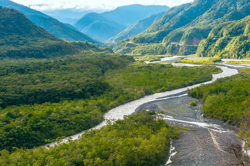 RCHDreamTravel's tweet photo. This is Ecuador's Oriental Tropical Rainforest looking towards the foothills of the great Andes Mountains. Such Beauty! Possibly on your list for 2021 or 2022? Give me a call!
#RCHDreamTravel #Dallas #vacation #SeeTheWorld #JustTravel #FamilyTravel #Rainforest #Andes #Ecuador https://t.co/nUatyad6b6