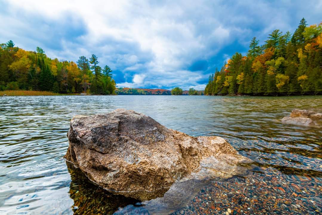 Fall is fading fast! @weathernetwork @HastingsCounty @StormHour