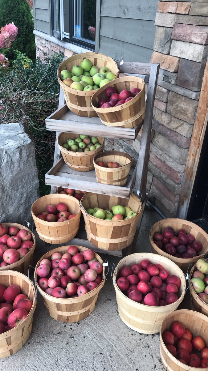 #Apple update “Arnold’s Beauty “ “Starsong” #Ontario with approx 13 Other varieties #apples #AppleSpecialEvent @BTtoronto