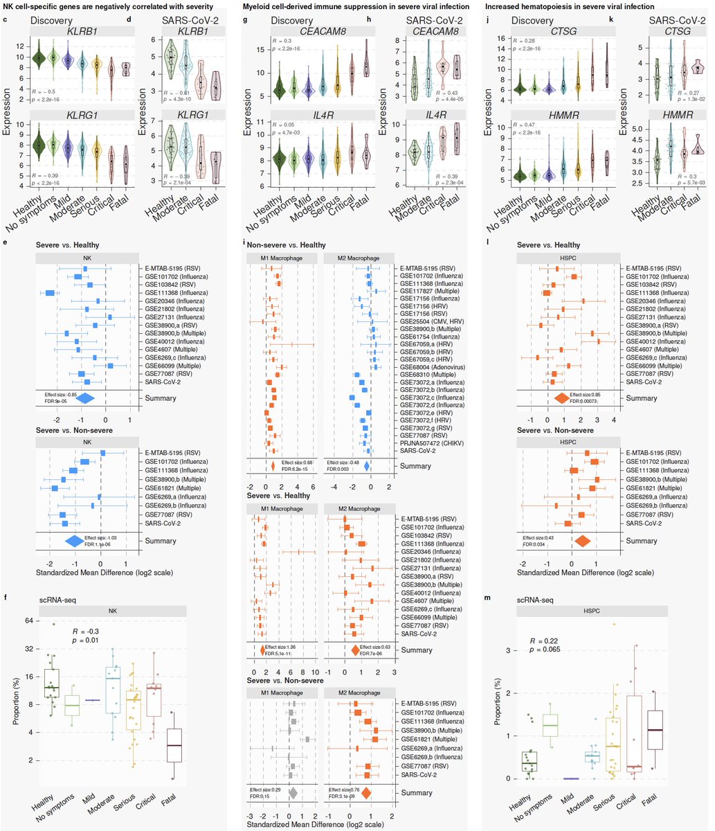 13/ We learned a lot from these 96 genes. They suggest increased hematopoietic progenitors and myeloid-derived suppressor cells, and decreased NK cells with increased severity of viral infection. We validate each of these using bulk and single-cell transcriptome profiles.