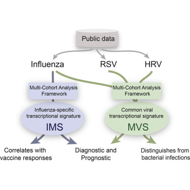3/ Hypothesis: Our previously described conserved host response to viral infection by  @Apuntsdelcami, called meta-virus signature (MVS), could be a generalizable tool in our pandemic preparedness.  https://www.cell.com/immunity/fulltext/S1074-7613(15)00455-0