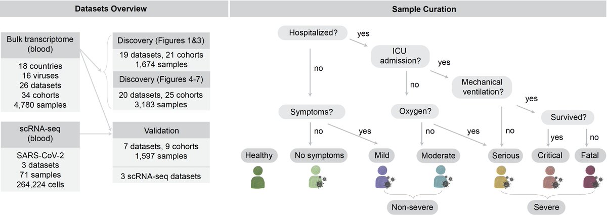 4/ To test this hypothesis, we collected and curated large amount of public data – 4780 bulk transcriptomes in 34 cohorts from 18 countries with one of 16 viruses. We also collected scRNA-seq for 264000 cells from 71 samples across 3 cohorts.