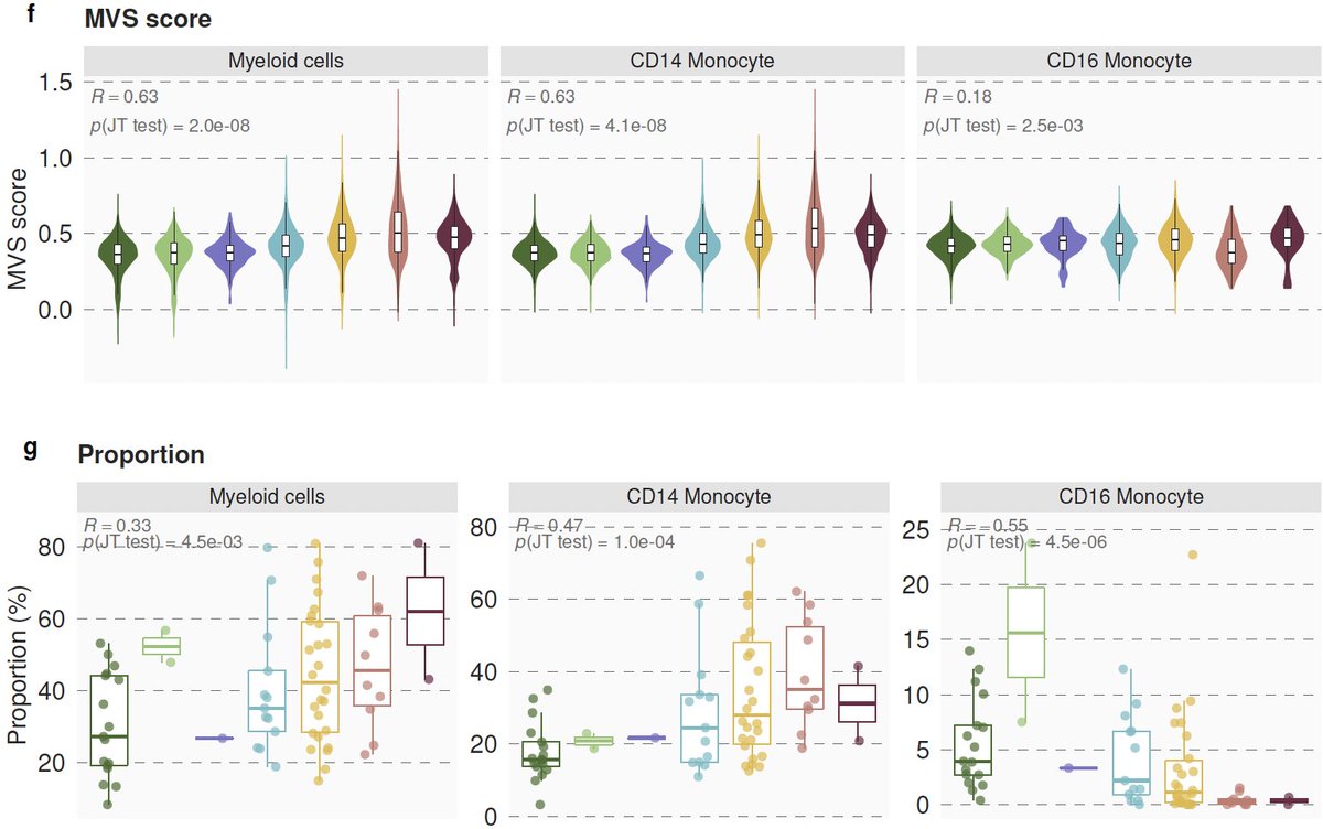 7/ We integrated >264000 scRNA-seq profiles from 3 centers to find the source of the MVS. We found the MVS is dominated by myeloid cells (mostly CD14) and higher in patients with severe outcomes. Proportions of CD14 increase and CD16 decrease with severity.