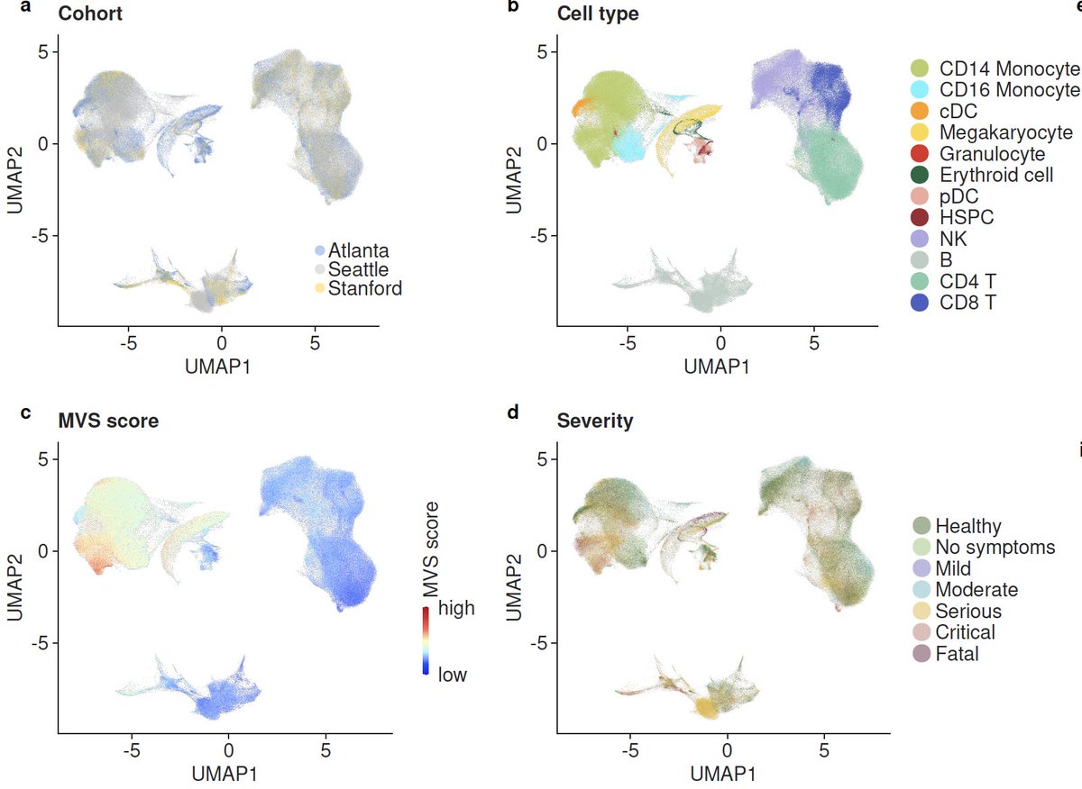 7/ We integrated >264000 scRNA-seq profiles from 3 centers to find the source of the MVS. We found the MVS is dominated by myeloid cells (mostly CD14) and higher in patients with severe outcomes. Proportions of CD14 increase and CD16 decrease with severity.