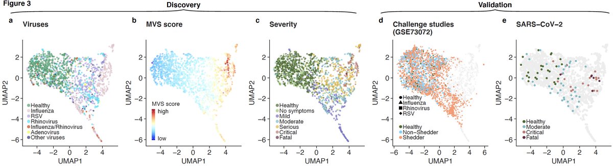 9/ We asked if the MVS distinguishes patients with mild or severe viral infection using bulk transcriptome profiles. UMAP using 1675 samples from 21 cohorts suggests that it does. We validate this observation in 8 independent datasets from 4 viruses including SARS-CoV-2.