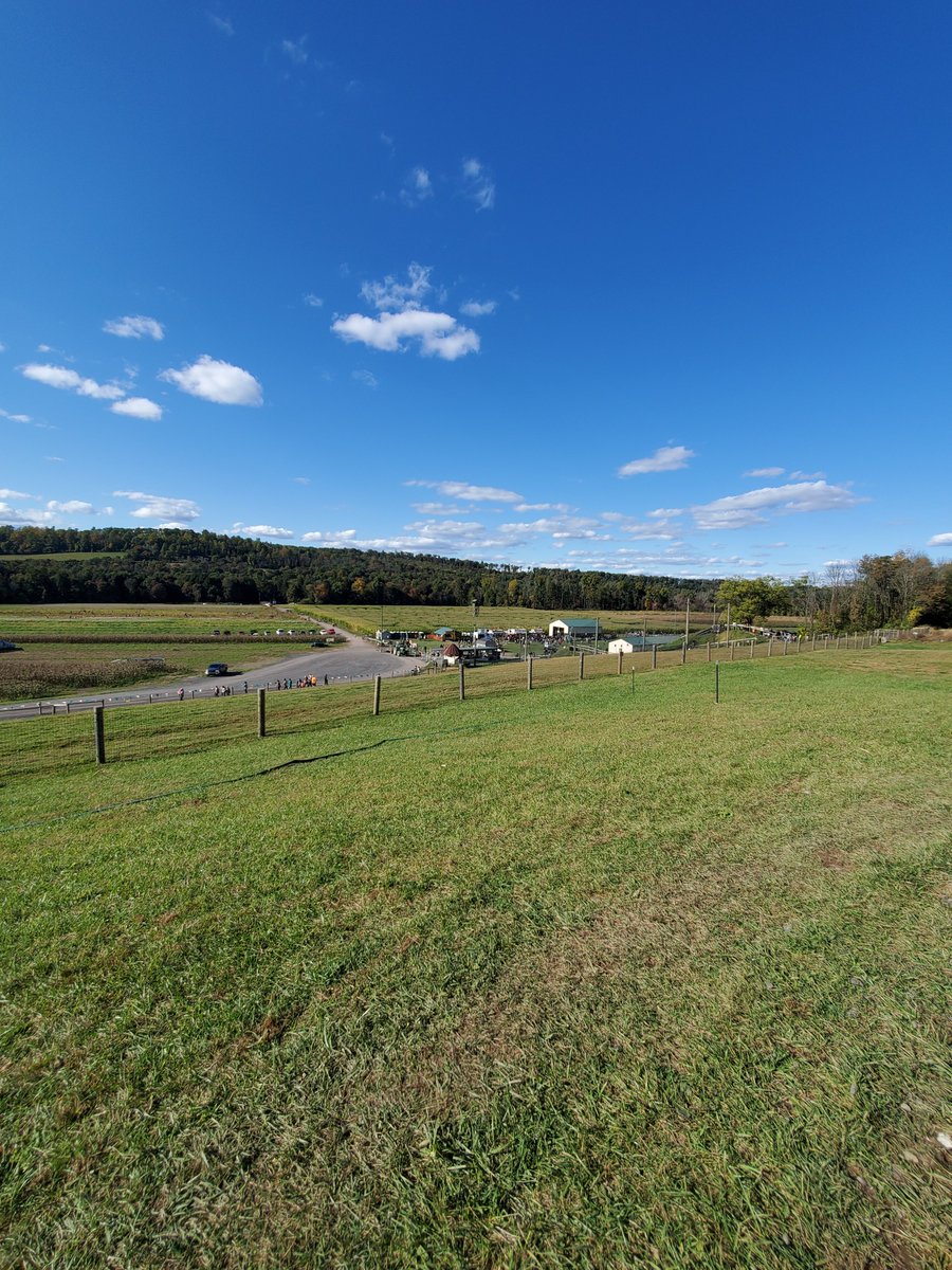 VandergriftKim's tweet image. I couldn't have asked for a better birthday weekend in Northeastern Pennsylvania! #birthdayfun #Pennsylvania #getawayweekend #FamilyFunTime #autumnvibes