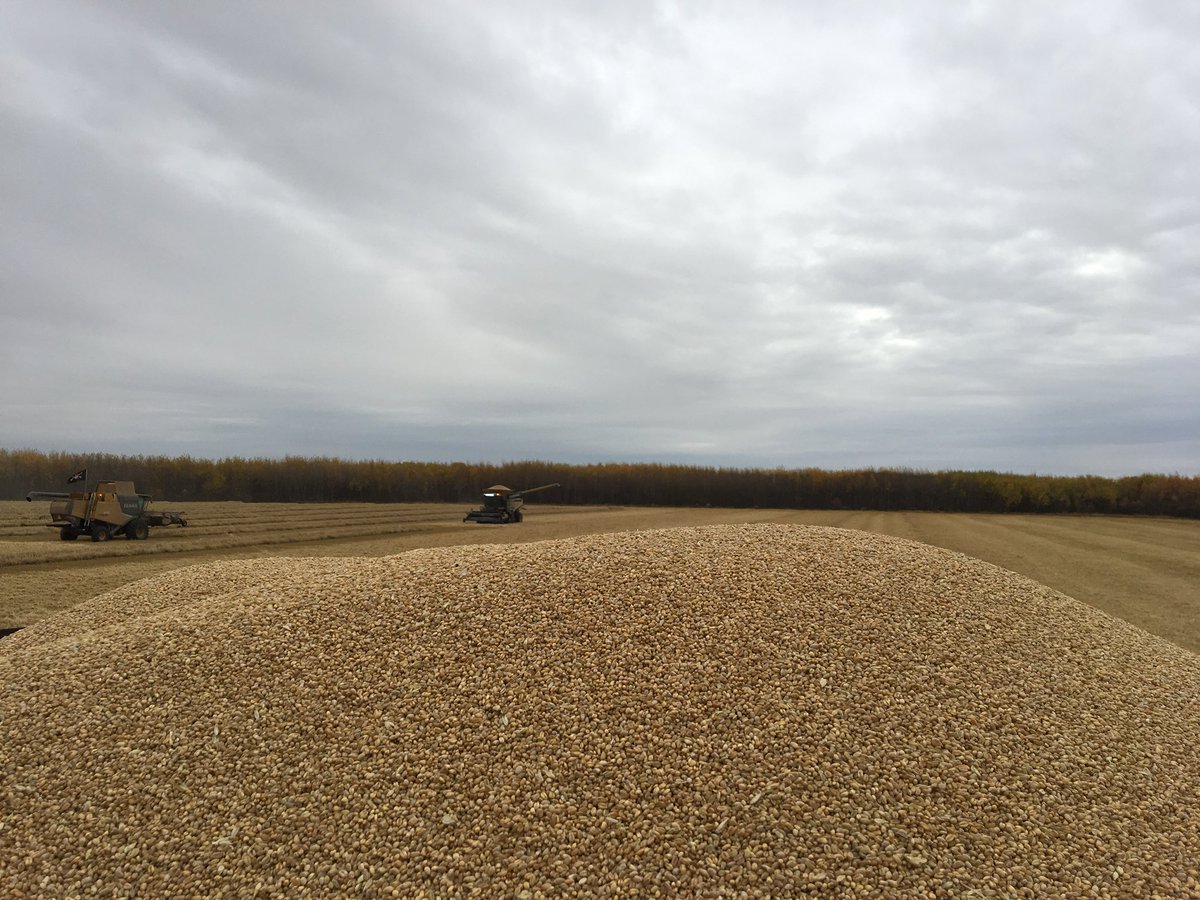 Waiting for carts while the boys change the bag!! #harvest20
