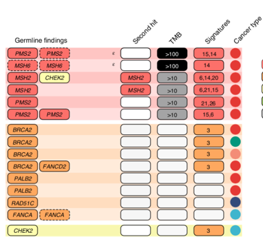 Incorporating somatic features from the tumour, including tumour mutation burden, mutational signatures and somatic second hit mutations informed the pathogenicity assessment of the germline variants. Informatics led by  @MarkPinese /11