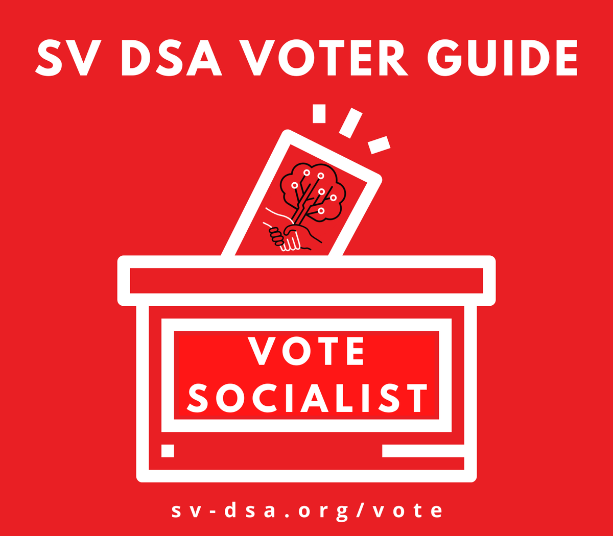 Ballots are in the mail! Fill out yours with the... SV DSA Voter Guide Pictured: our endorsed candidates. Full guide, including recommendations in other races:  http://sv-dsa.org/vote 