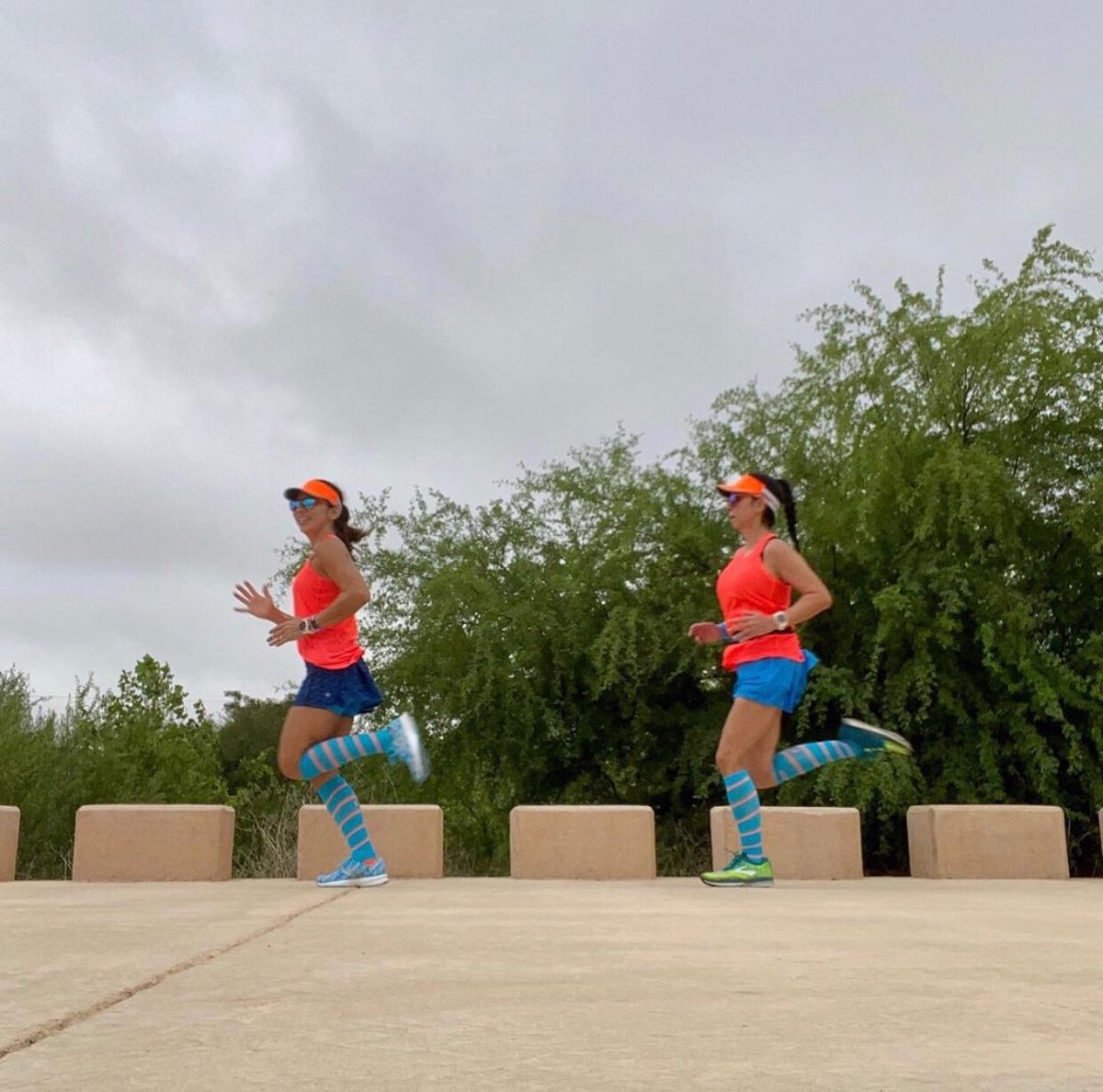 virtualwhm's tweet photo. You've been training hard for the VirtualWHM &amp; we see that! Keep posting your amazing photos &amp; videos to our FB page, FB group, or your Instagram &amp; make sure you tag #VirtualWHM or @VirtualWHM for a feature 😎⁠
⁠⠀
📸@claudinecoleman, Sandy O &amp; Indy, @kristenhorler https://t.co/bNzdTzeN8Y
