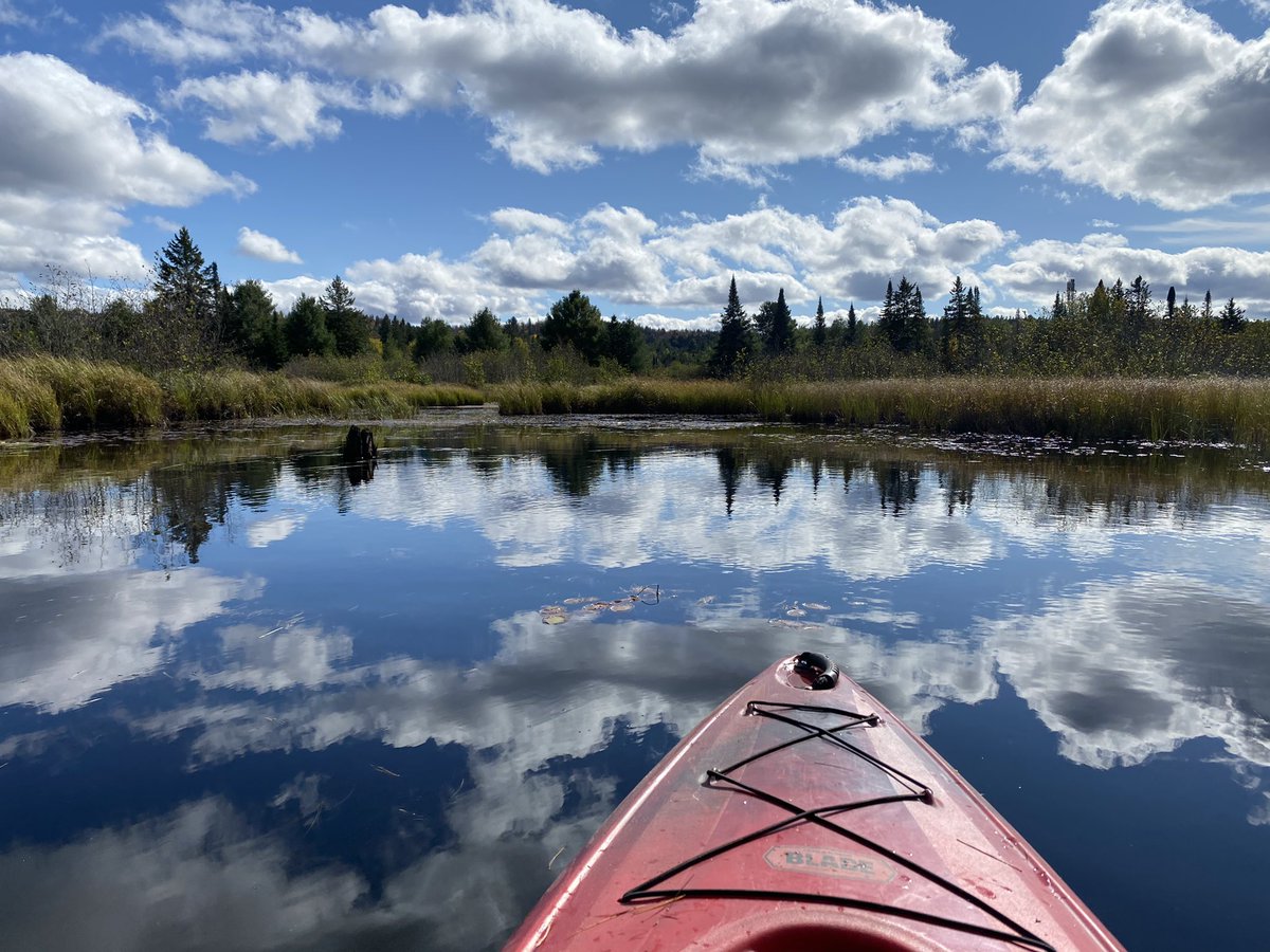 jorjajen's tweet photo. A few hours of #paddleing in #lakeoftworivers #algonquinpark #kayaking #kayak #FallColours #outdoors #camping #wanderlust https://t.co/P8ToKaejor