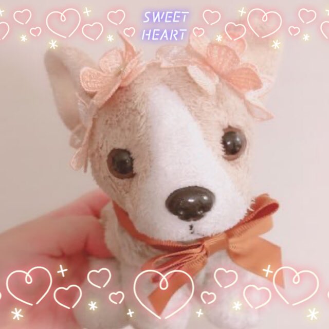 HachiwareKuu's tweet photo. #新しいプロフィール画像
ツイッター始めました！
この子はくーちゃんっていいます🐾
よろしくね🐕🔰

#ぬいぐるみ　
#ぬい撮り https://t.co/tHxvoAUbWt